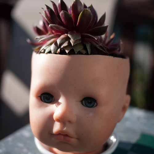 Diy Doll Head Planter