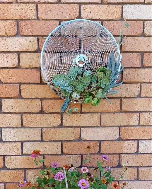 Cute and Unusual DIY old fan Planters