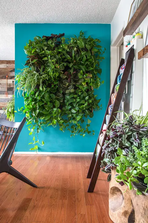Vertical Bulb Terrarium Garden Hanging From a Tree Branch