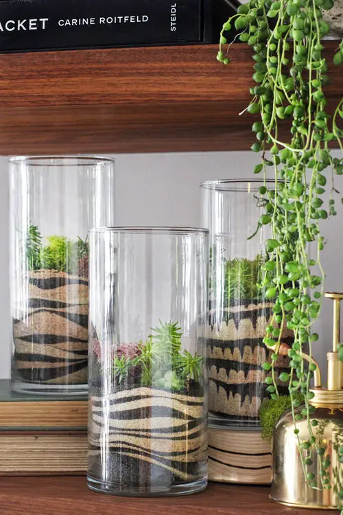 Sand Art Terrarium DIY Succulents Centerpiece and Arrangement Ideas 11