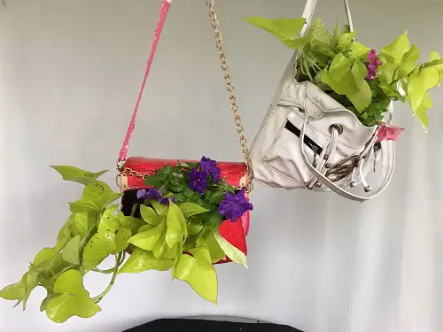 hanging Purse Planter
