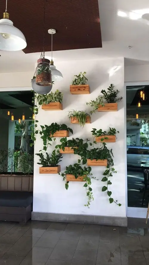 Grow Lush Houseplants in Wooden Pallet Boxes on the Wall