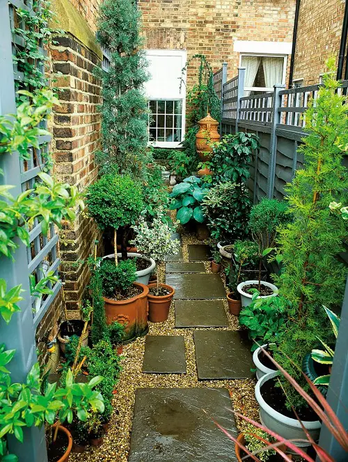 Line Potted Plants by the Yard Fence