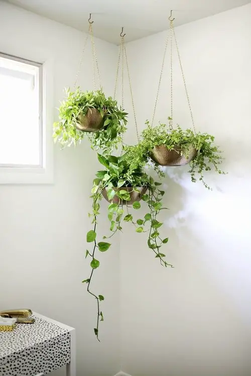 Use Chains and Hooks to Hang Houseplant Combos