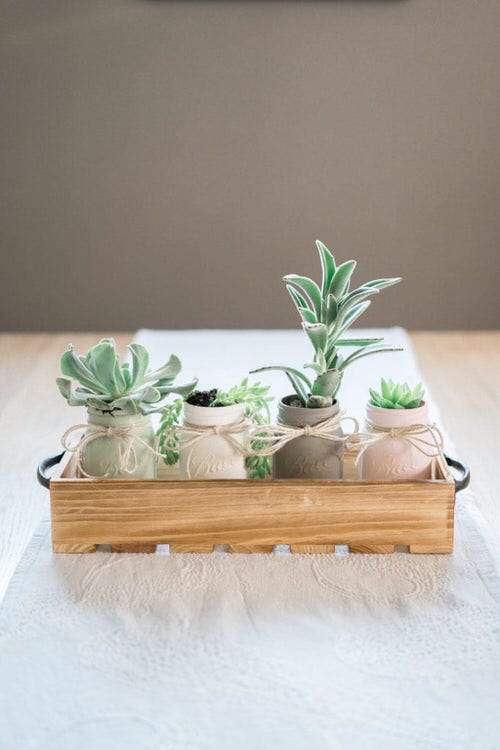 Bell Jar Succulent Centerpiece
