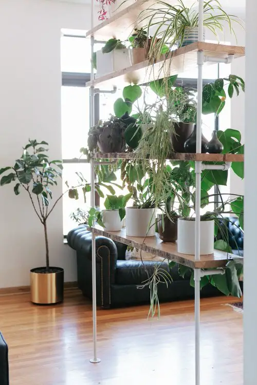 Lush Houseplant Stand