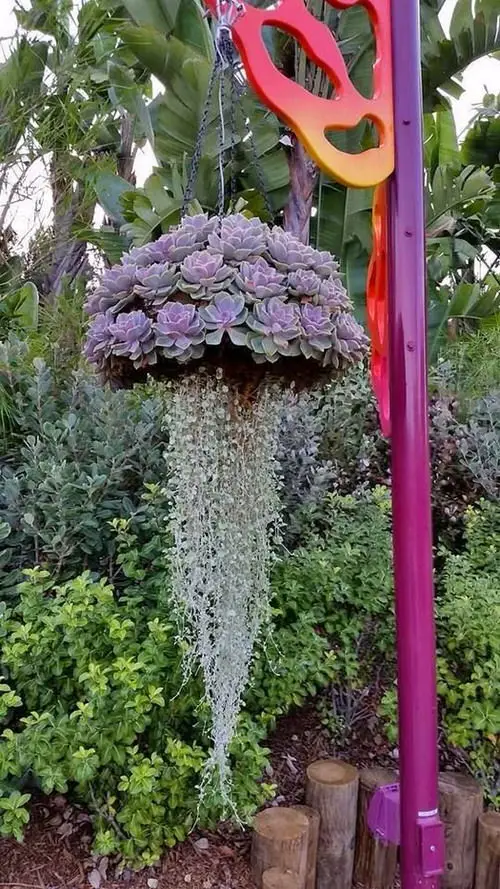 Unusual DIY Hanging Planters