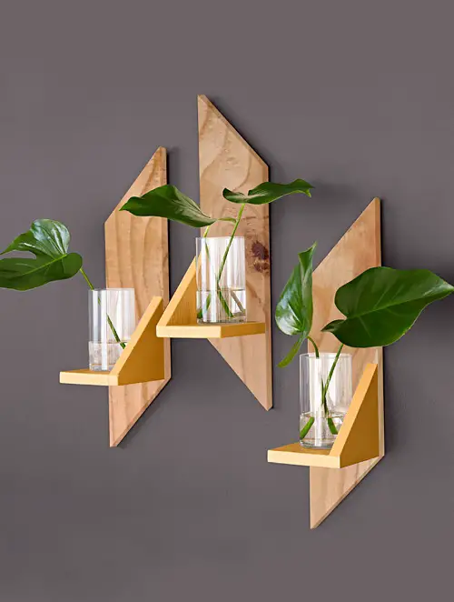 Nothing Like Displaying Glossy Leaves on Pine Wall Shelves