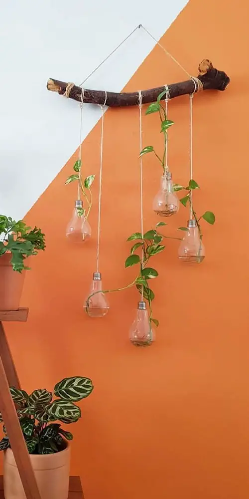 Vertical Bulb Terrarium Garden Hanging From a Tree Branch