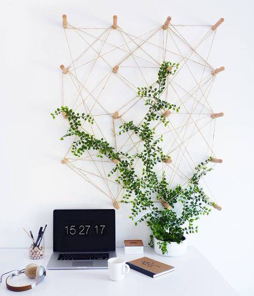 Zig-Zag Wall Trellis for Vining Creepers