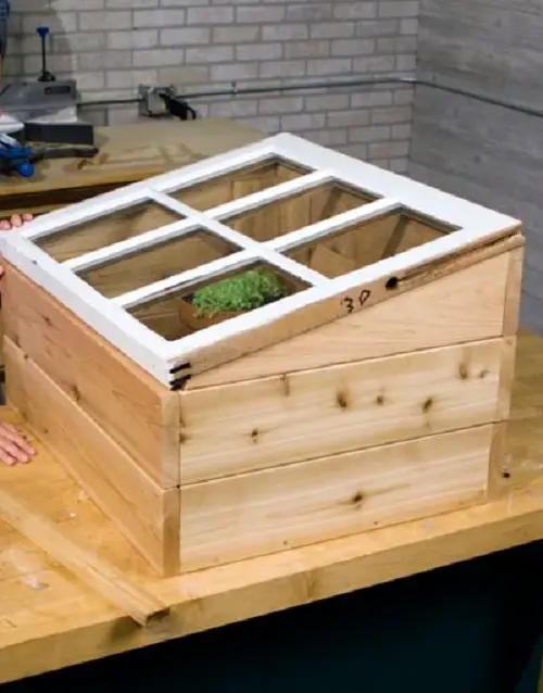 Build a Mini Wooden Plant House