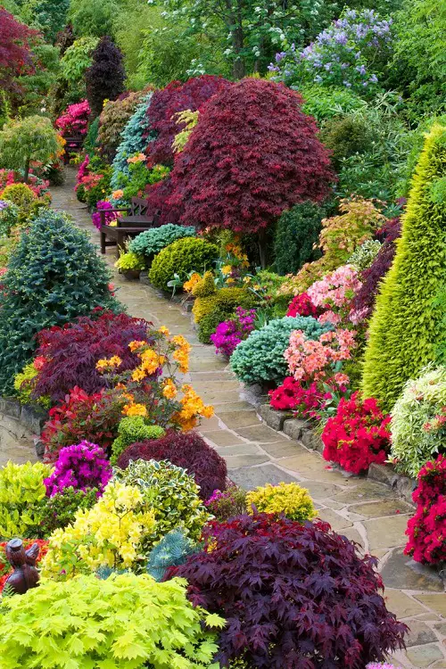 Add a Pop of Colors with Vivid Foliage Plants