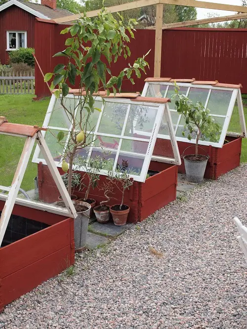 Harness the Window Frames into Greenhouse
