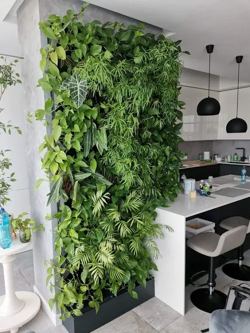 A Wall Cabinet to Flaunt Your Indoor Plant Collection