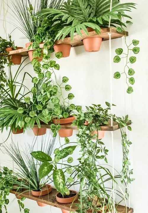 Clamp Floating Shelves with Holes to Display Potted Plants