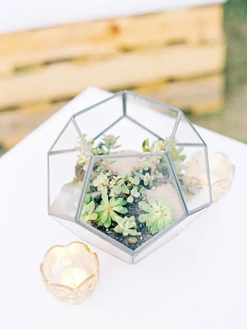 Geometric Terrarium centerpiece ideas