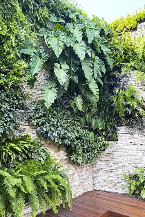 Tiered Wall to Create a Dense Layered Garden