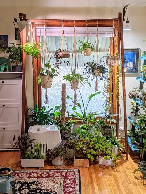 Hang the Lush Houseplants in Macrame Planters from a Wooden Stand