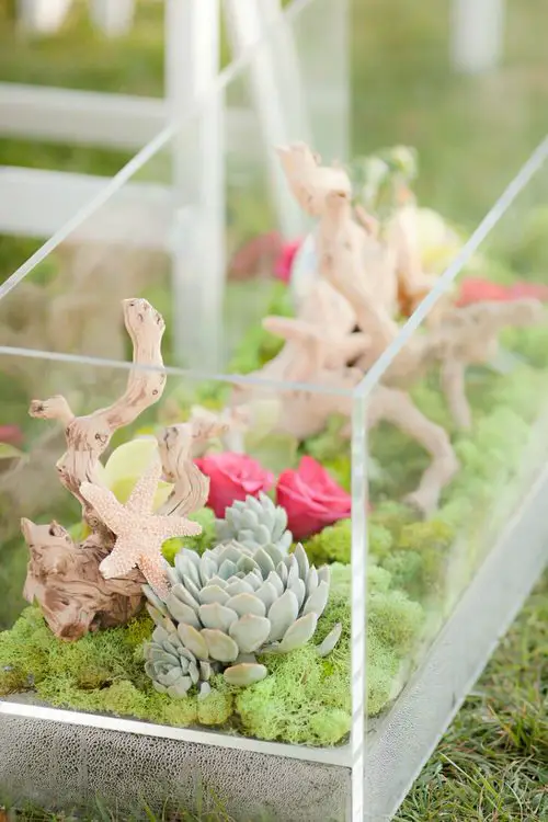 Succulents Centerpiece and Arrangement Ideas