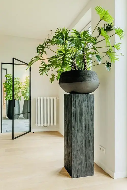 Grow Philodendron Xanadu in a Showy Planter on a Stone Pillar