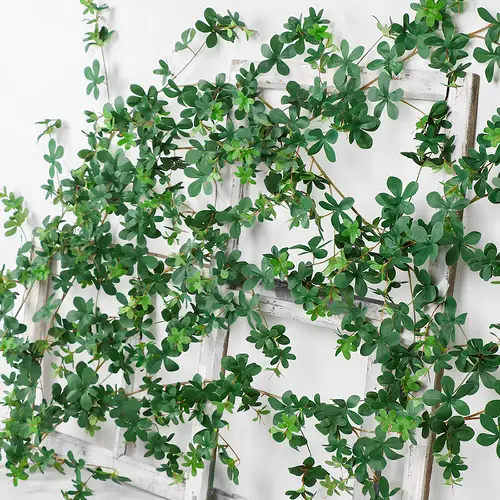 Vining Dark Green Foliage on a Wooden Stake