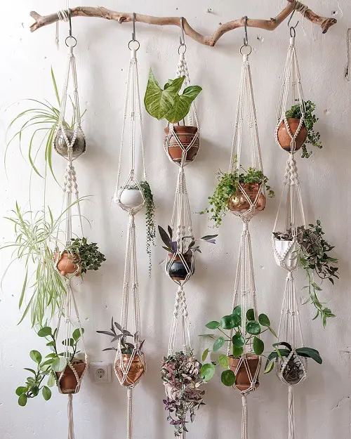 A Rustic Twig Can Hold Multiple Macrame Planters