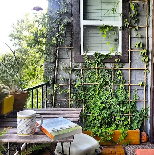 Bamboo Trellis for a Green Balcony Garden