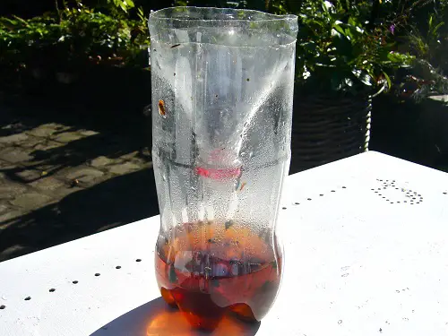 Vinegar and Baking Soda Trap