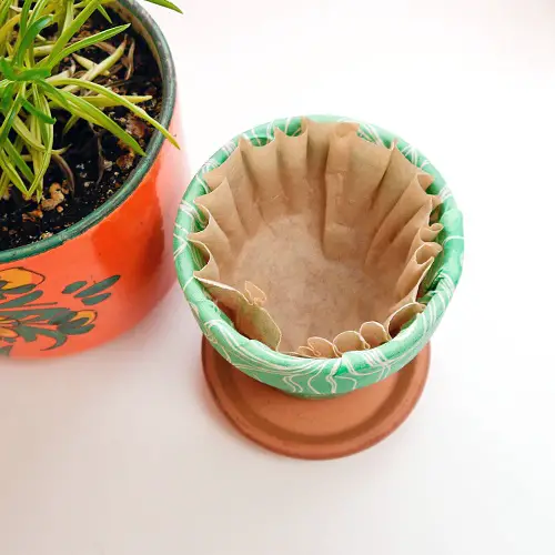 Use Coffee Filters to Prevent Soil Seepage