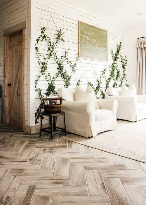 Indoor Wall Trellis for Vining Houseplants