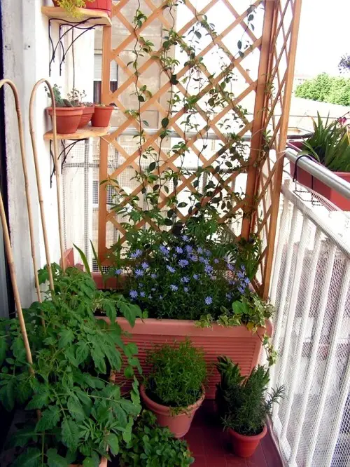 Wooden Privacy Screen with a Flower Tub