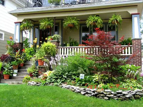 Hang Ferns and Display a Stairway Garden
