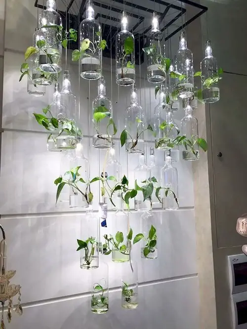 Setup an Indoor Hydroponic Garden by Hanging Plants in Illuminating Bottles