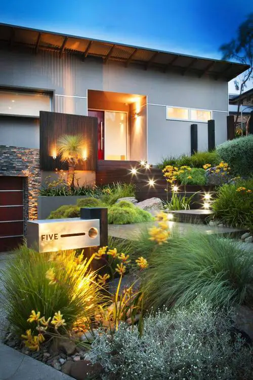 Ornamental Grasses and Illuminating Bulbs