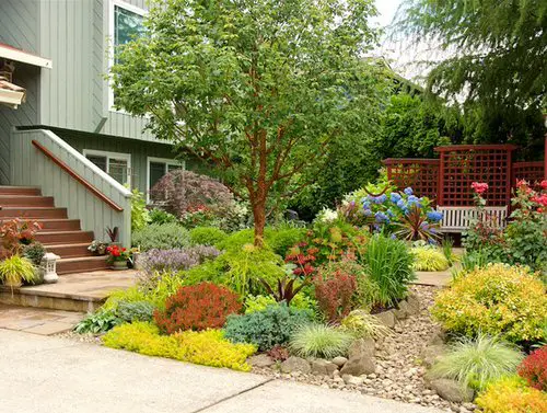 Colorful Groundcovers Decking the Yard