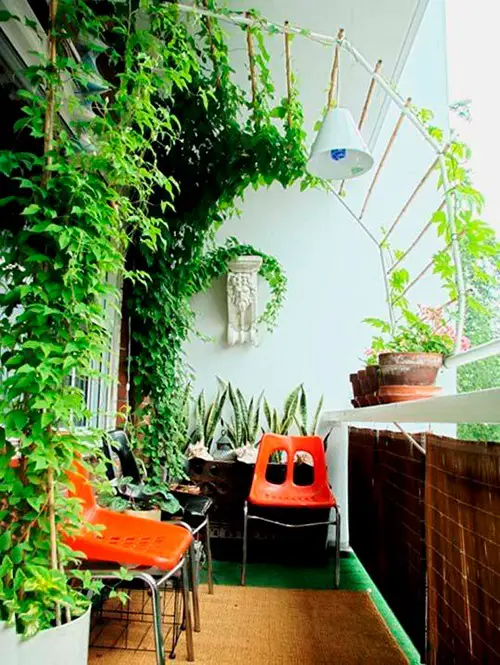 Diy An Arched Trellis