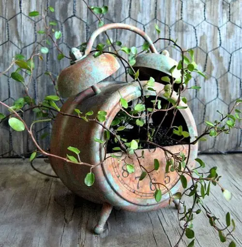 Cute and Unusual DIY Clock Planter 