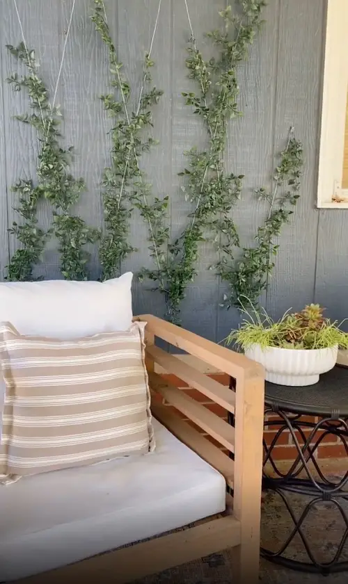 Indoor Wall Vine Ideas For Your