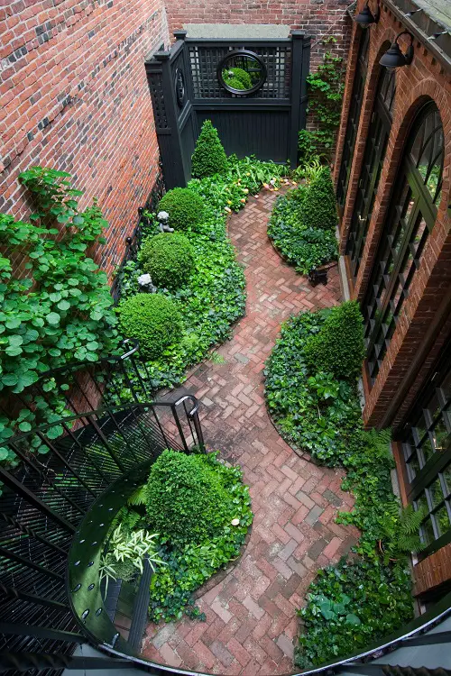 Boost the Curb Appeal with Groundcovers and Creepers