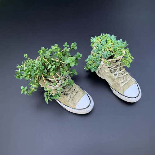 Cement Sneaker Planter