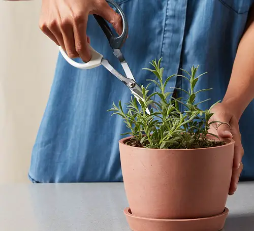Pruning at the Right Time is Crucial