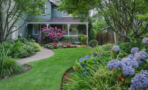 A Stunning Combination of Plants and Flowers