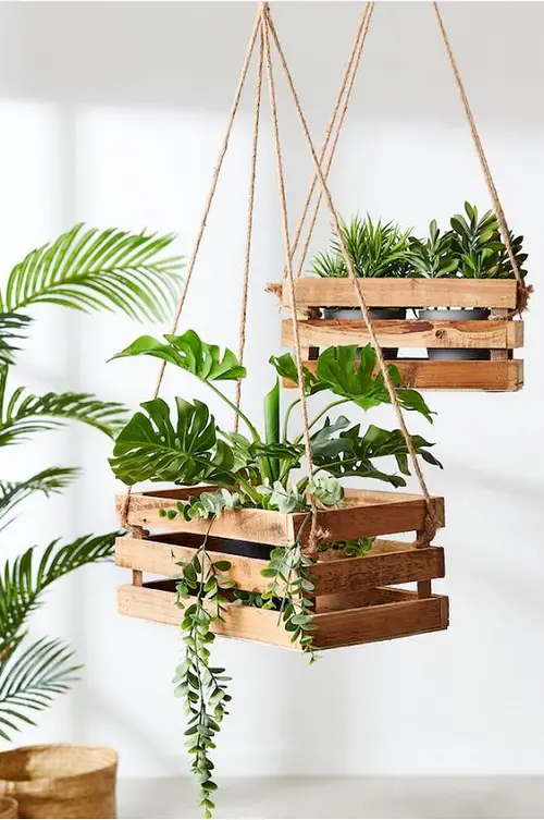 Hang Wooden Crates Using Jute Ropes for Displaying Houseplants