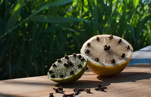 Citrus Trap