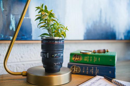 Cute and Unusual DIY Snapshot Planter