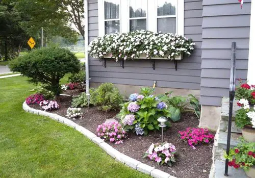 Pretty Pastel Blooms in the Garden and Windowsill