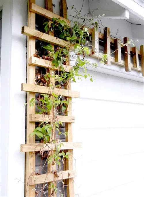 Trellis Bordering the Balcony Wall