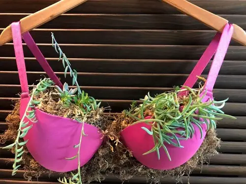 Bikini Planter