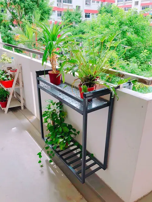 Pair Screwpine with Alocascia by the Railing