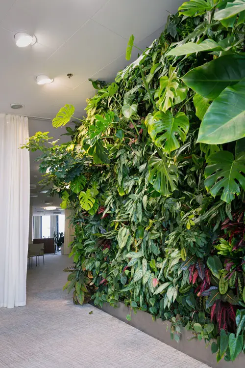 Create a Living Wall of Lush Houseplants